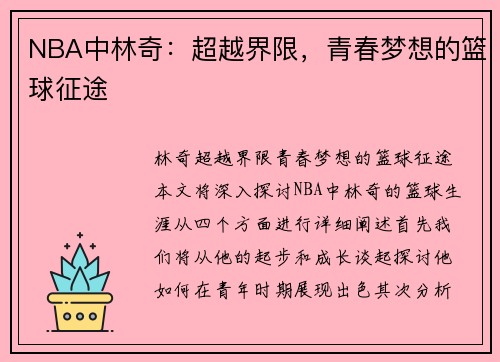 NBA中林奇：超越界限，青春梦想的篮球征途