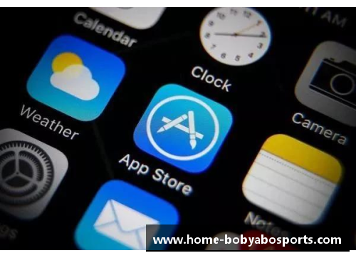 bob亚博app下载加州NBA球队的背景与未来展望